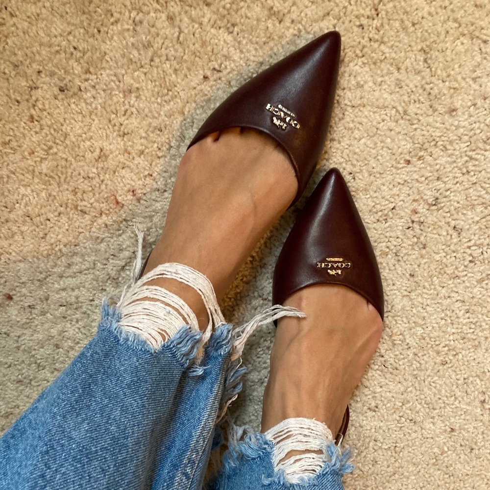 Coach pointed maroon flats